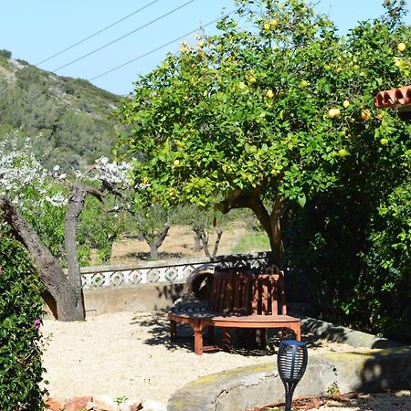 Casa Jiby Appartement Llosa de Camacho Buitenkant foto