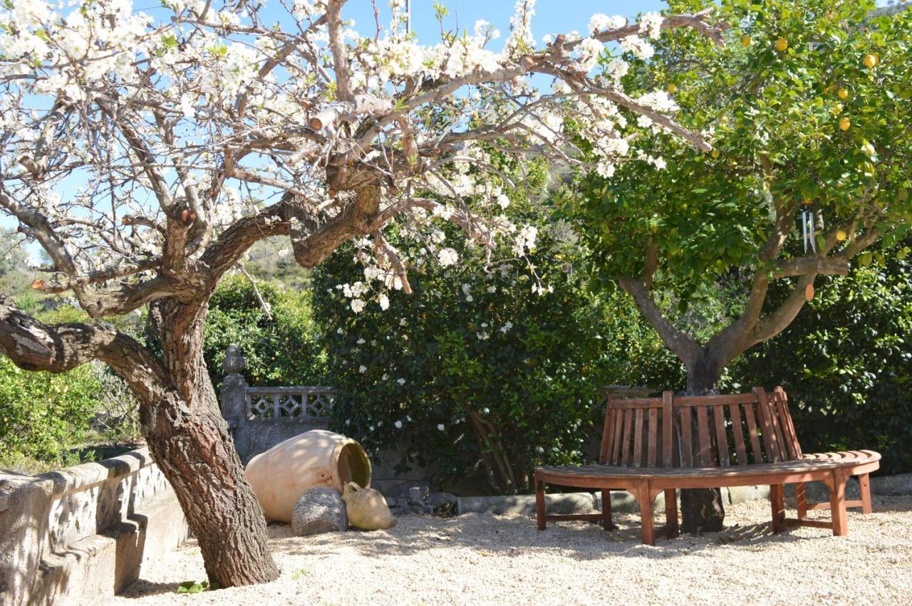 Casa Jiby Appartement Llosa de Camacho Buitenkant foto
