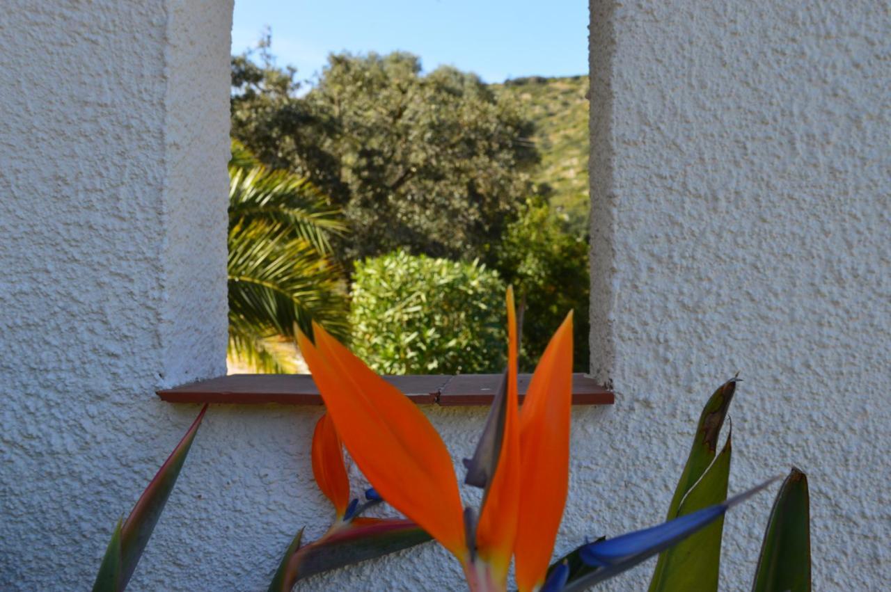 Casa Jiby Appartement Llosa de Camacho Buitenkant foto