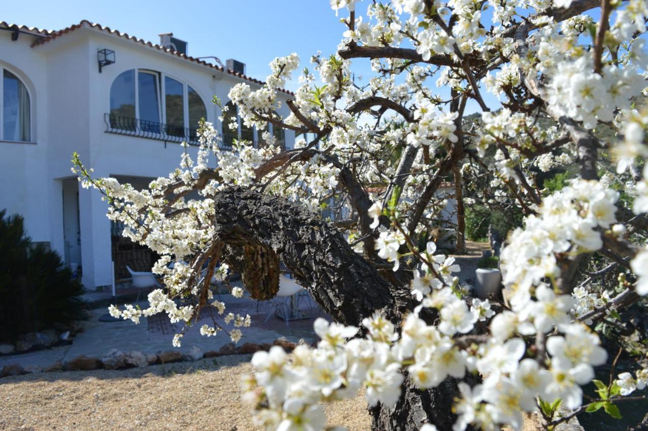 Casa Jiby Appartement Llosa de Camacho Buitenkant foto