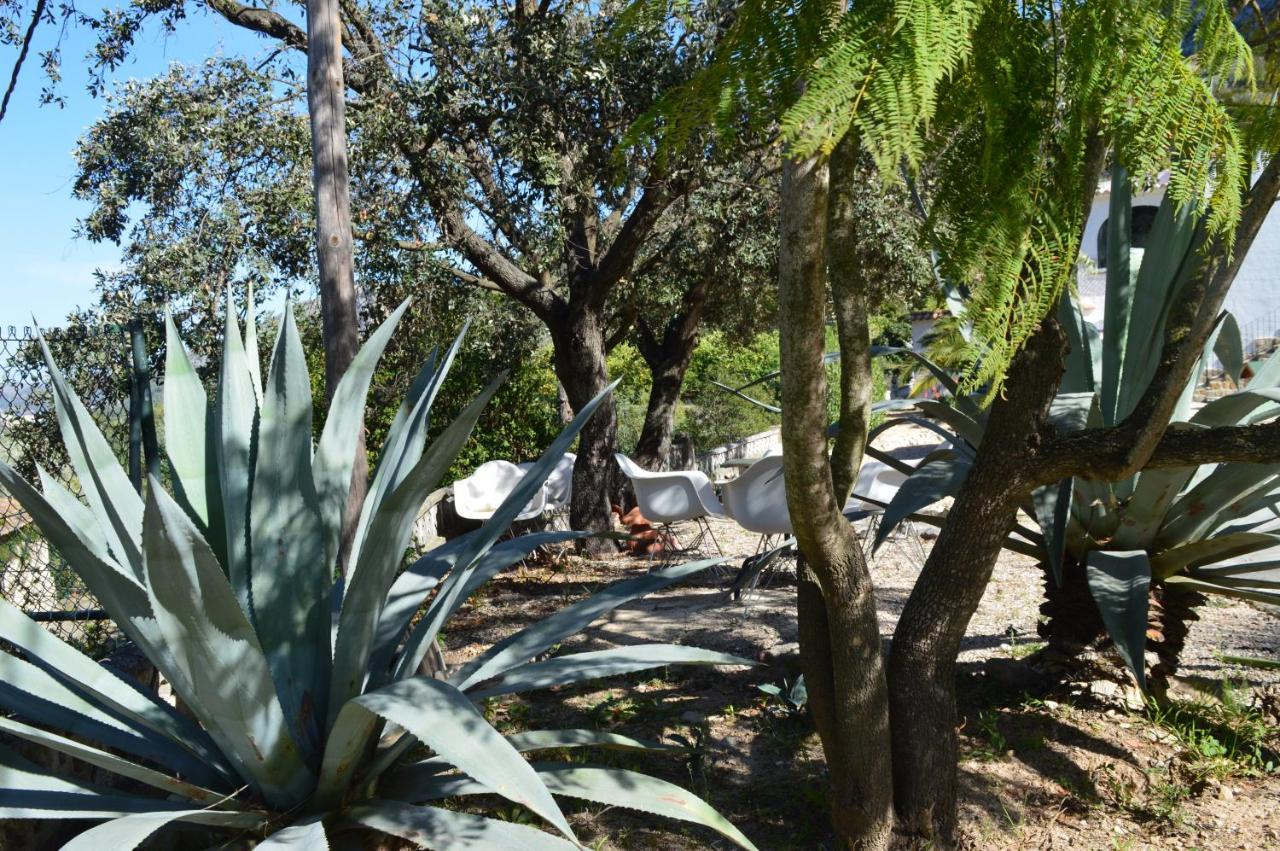 Casa Jiby Appartement Llosa de Camacho Buitenkant foto